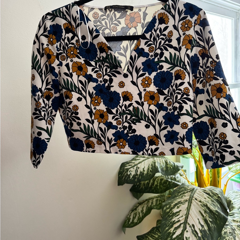 Zara crop top